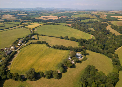 About Tregony Contemporary