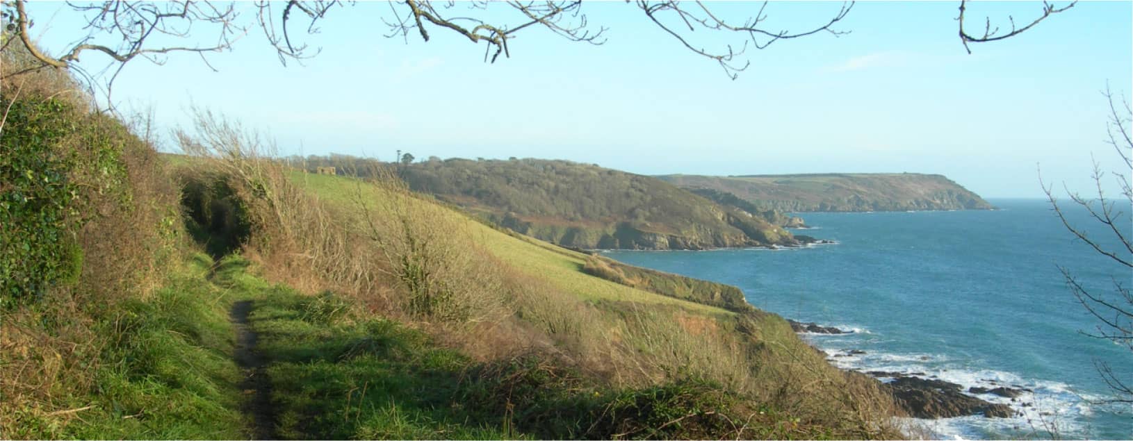 WorkshopDescriptionGrid1