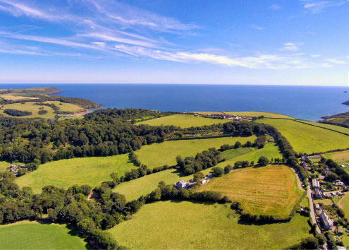 Workshop Description