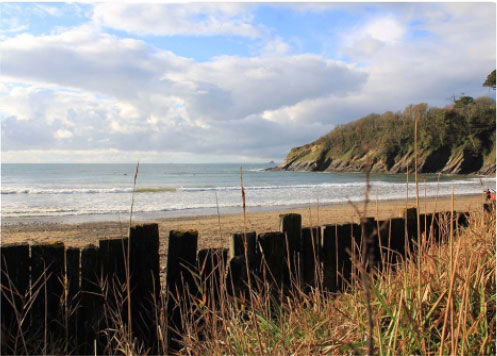 Workshop Description