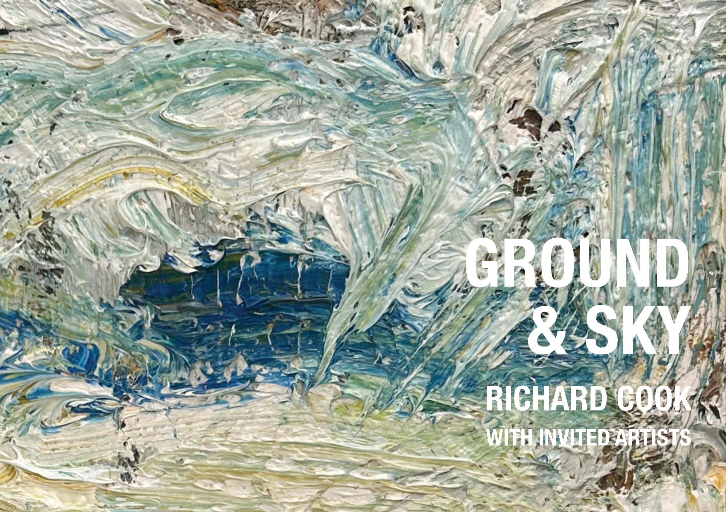 Ground & Sky- Richard Cook With Invited Artists – Catalogue