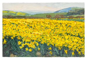 Exhibition Image